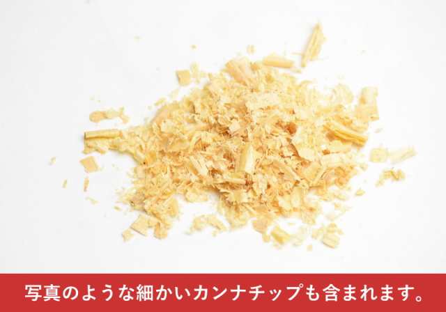 ひば油 10ml ひばチップ 癒しの袋 10袋 セット 送料無料 青森ひば ヒバ油 ヒバチップ ヒバ カンナチップ 消臭 抗菌 香り袋 匂い袋 サシェ  虫よけ 虫除け 蚊除け 蚊よけ ウッドチップ