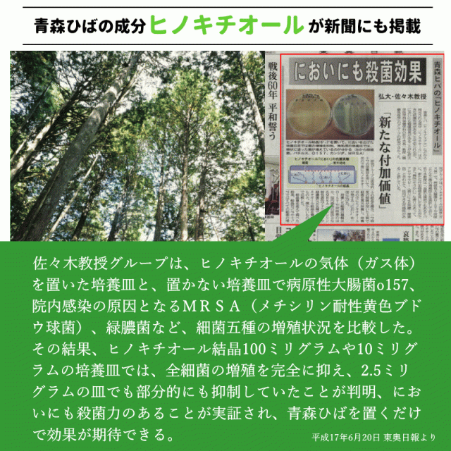 ひば枕 小玉チップ 6L 送料無料 青森ひば 枕 肩こり ヒバ枕 消臭 抗菌 癒しの枕 30cm×50cm×高さ約6cm アロマ 殺菌 ヒバチップ 枕 日本製_5
