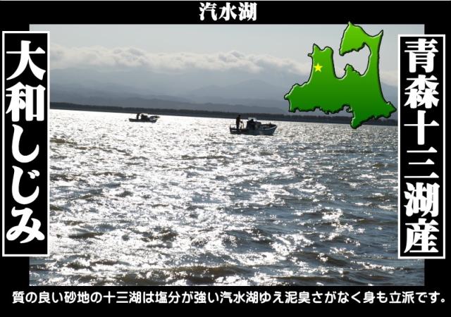 しじみエキス 送料無料 十三湖産 しじみ使用 貝活源G シジミエキス 錠剤 60g 30mg×200粒 しじみ サプリ_3