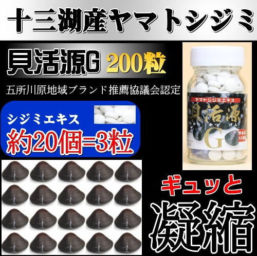 しじみエキス 送料無料 十三湖産 しじみ使用 貝活源G シジミエキス 錠剤 60g 30mg×200粒 しじみ サプリ_2