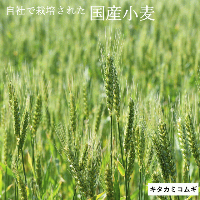 キタ玄粒 国産 小麦 玄小麦 キタカミコムギ 20kg 2kg×10 送料無料 青森県産 業務用 国産玄小麦 お菓子作り に適した 薄力系 日本の小麦 玄小麦 小麦粒 青森県産 全粒粉_2