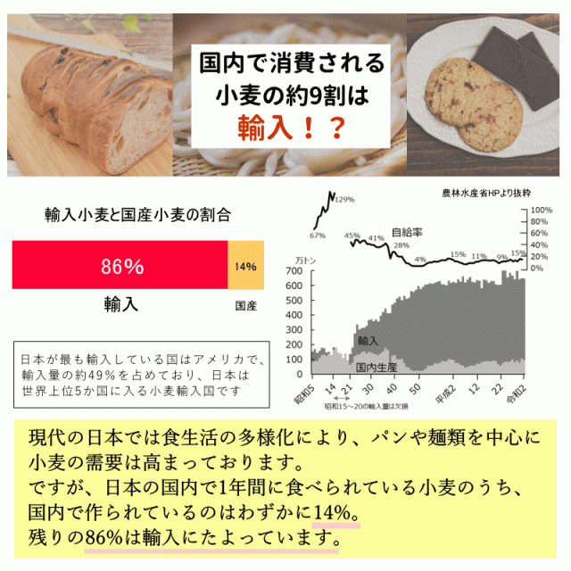 キタ玄粒 国産 小麦 玄小麦 キタカミコムギ 20kg 2kg×10 送料無料 青森県産 業務用 国産玄小麦 お菓子作り に適した 薄力系 日本の小麦 玄小麦 小麦粒 青森県産 全粒粉_5