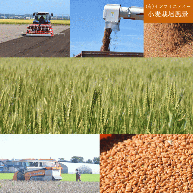 キタ石全 国産 小麦 全粒粉 薄力粉 2kg キタカミコムギ 石臼挽き 送料