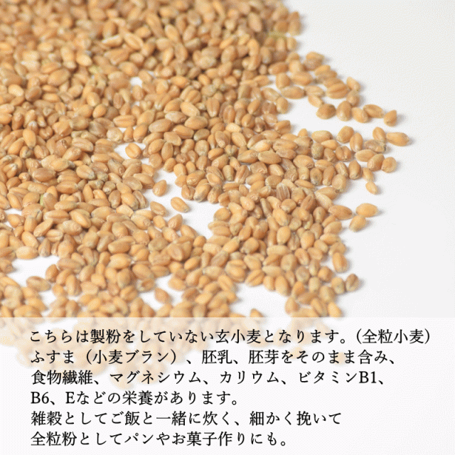 マグネシウム粒 800g - 洗濯洗剤