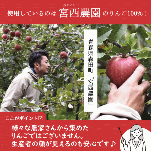 ペットフード 犬 りんご オヤツタイムズ【Lサイズ】35g×3 宮西農園 の