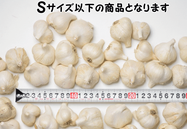 訳あり　1kg　にんにく　約35〜50玉　青森　新物予約　マーケット－通販サイト　Sサイズ以下混合　PAY　マーケット　PAY　にんにく玉　au　令和5年産】(産直)　ニンの　青森県産　グルメ通り　小玉　通販はau　にんにく　にんにく