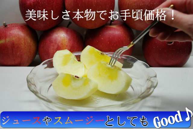 予約】青森りんご 10kg 送料無料 りんご 訳あり サンふじ 家庭用 22玉 ...