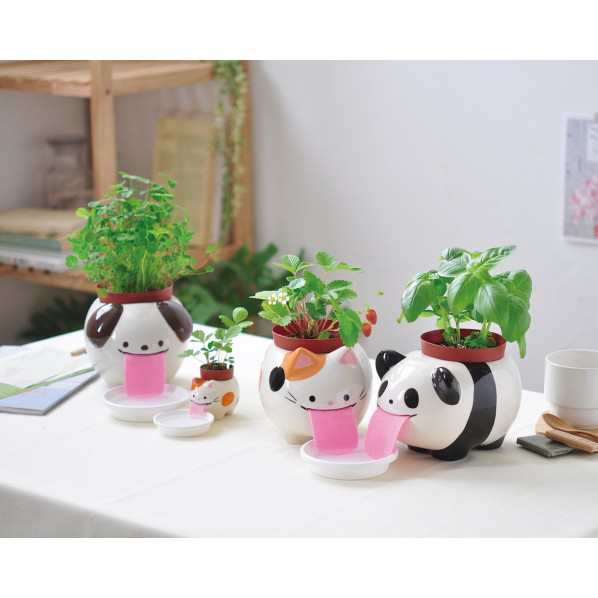 聖新陶芸 観葉植物 栽培キット ペロポンパパ イヌ クローバー おおきいぺロポン ハーブ栽培キット 11の通販はau Pay マーケット Diy Factory Online Shop 聖新陶芸 観葉植物 栽培キット ペロポンパパ イヌ クローバー おおきいぺロポン ハーブ栽培キット 11の通販はau Pay マーケット Diy Factory Online Shop