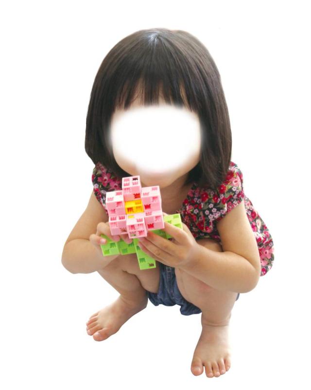 ●Artecブロック ドリームセットDX_16