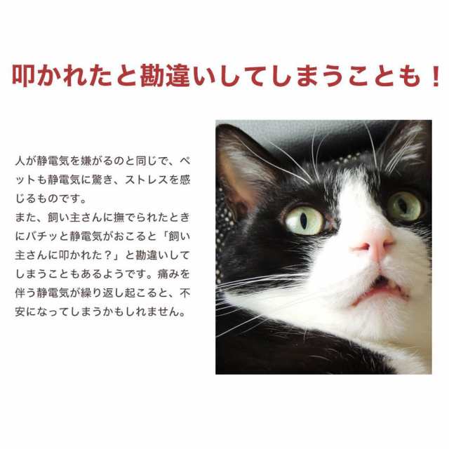 最強 特許素材 5倍 日本製 静電気除去 犬用 猫用 首輪 ネックレス ペット用 グッズ おしゃれ 静電気 防止 犬 猫 洗濯ok 黒 ブラック ピの通販はau Pay マーケット 株式会社 神代