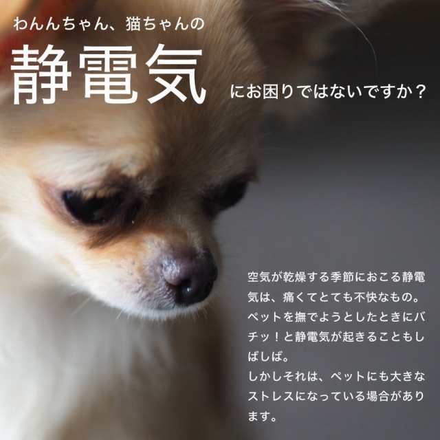 最強 特許素材 5倍！ 日本製 静電気除去 犬用 猫用 首輪 ネックレス ペット用 グッズ おしゃれ 静電気 防止 犬 猫 洗濯OK 黒 ブラック  ピのはau PAY マーケット 株式会社 神代 au PAY マーケット－サイト