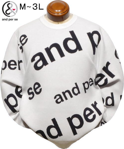 アンパスィ セーター メンズ AMF2324B1 手洗い可 吸湿発熱 アンパシー クルーネックセーター ニット ウォッシャブルセーター L/LLの通販は