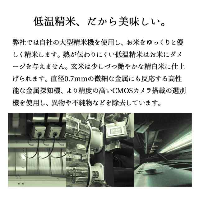 米 20kg 新潟産コシヒカリ 令和6年産 お米 産直 精米 白米 5kgx4袋 ※沖縄への配送は別途送料の通販は