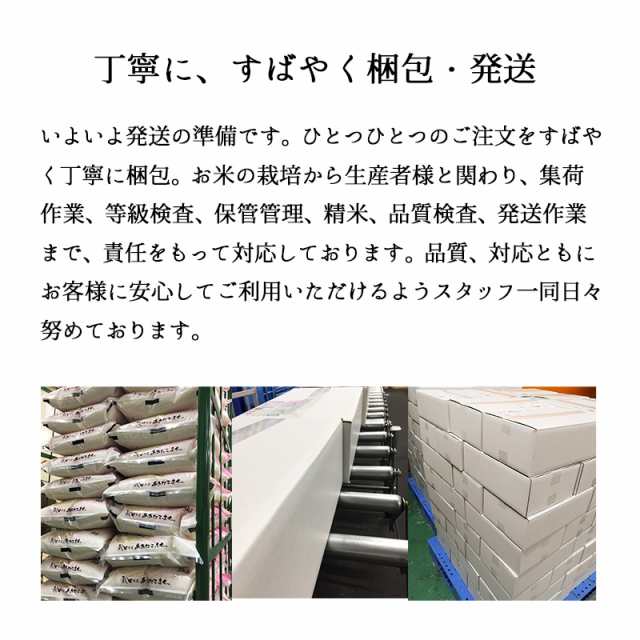 米 20kg 新潟産コシヒカリ 令和6年産 お米 産直 精米 白米 5kgx4袋 ※沖縄への配送は別途送料の通販は
