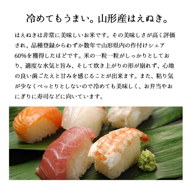 越後の稲穂屋 米 20kg 山形県産 はえぬき お米 20キロ 令和7年産 沖縄別途送料_3