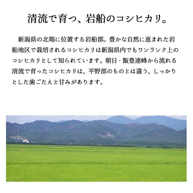 越後の稲穂屋 米 20kg 岩船産コシヒカリ お米 20キロ 令和7年産 沖縄別途送料_3