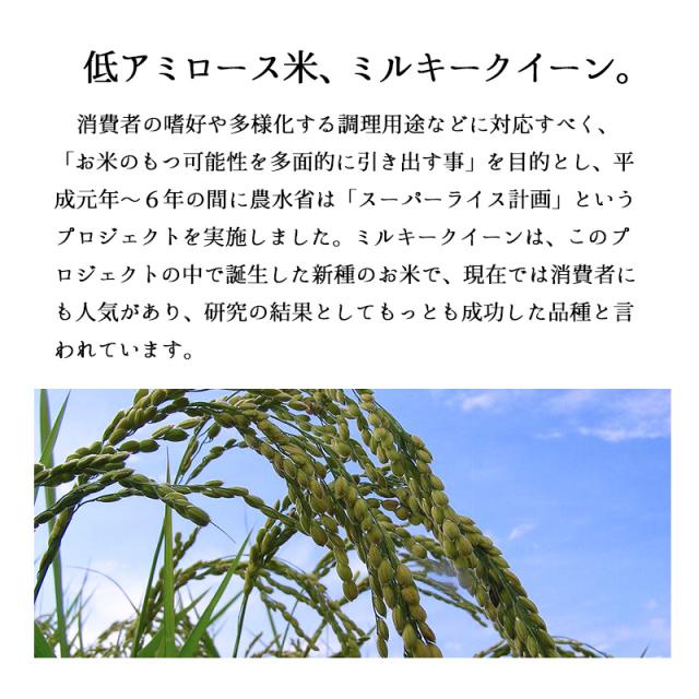 越後の稲穂屋 米 20kg 新潟産 ミルキークイーン お米 20キロ 令和7年産 沖縄別途送料_4