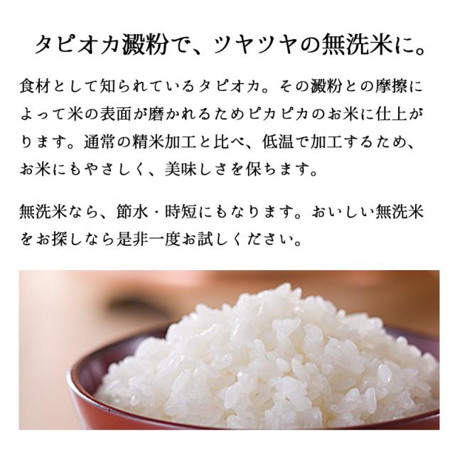 越後の稲穂屋 米 10kg 無洗米 新潟産コシヒカリ お米 10キロ 令和7年産 沖縄別途送料_6