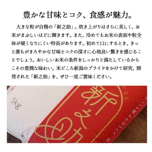 越後の稲穂屋 米 15kg 新之助 令和7年産 お米 15キロ 新潟産 しんのすけ 一等米 産直 精米 白米 沖縄別途送料_5