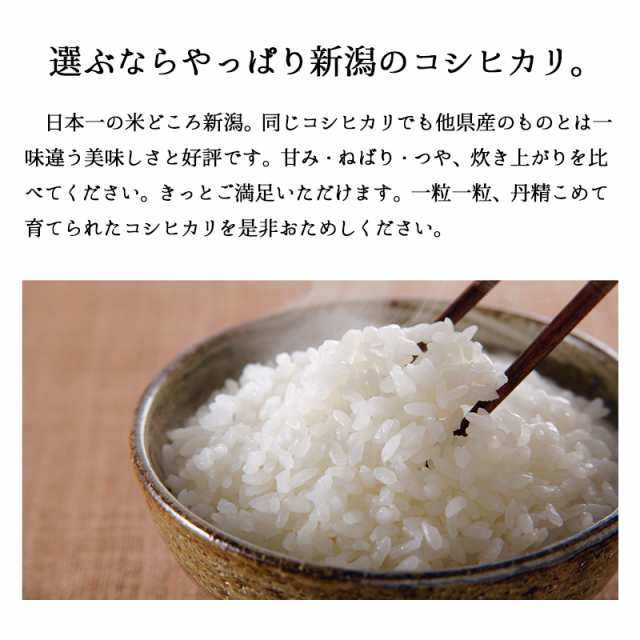 新米 10kg 新潟産コシヒカリ 令和5年産 お米 産直 精米 白米 5kgx2袋