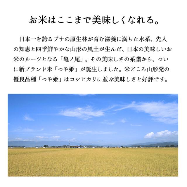 越後の稲穂屋 米 15kg 山形産 つや姫 令和7年産 お米 15キロ 沖縄別途送料_3