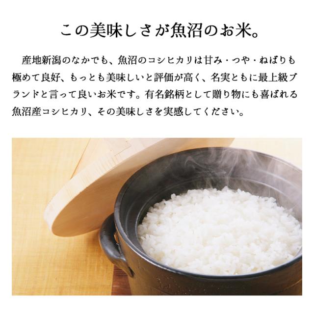 越後の稲穂屋 極上魚沼産コシヒカリ 5kg 令和7年産 お米 5キロ 沖縄別途送料_6