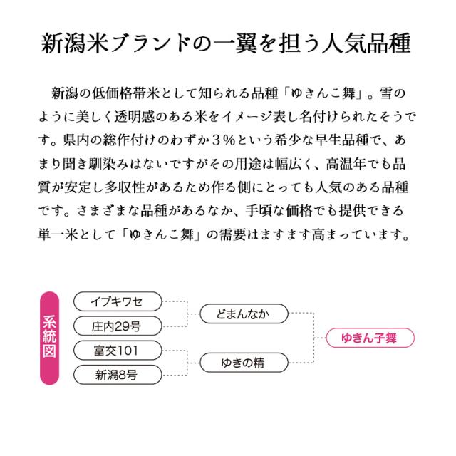 越後の稲穂屋 米 20kg 新潟産 ゆきん子舞 お米 20キロ 令和7年産 沖縄別途送料_6