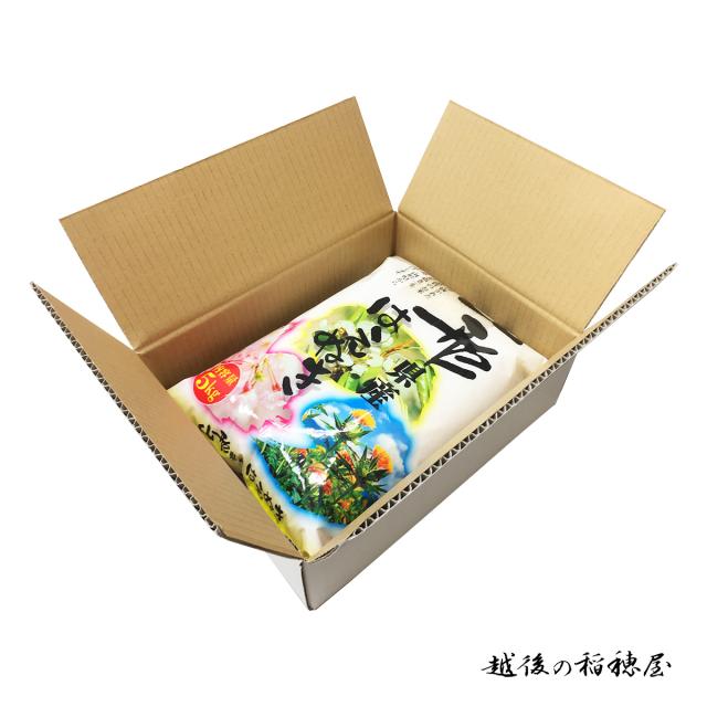 越後の稲穂屋 米 20kg 山形県産 はえぬき お米 20キロ 令和7年産 沖縄別途送料_1