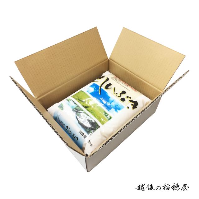 越後の稲穂屋 米 20kg 新潟産 こしいぶき 令和7年産 お米 20キロ 沖縄別途送料_1
