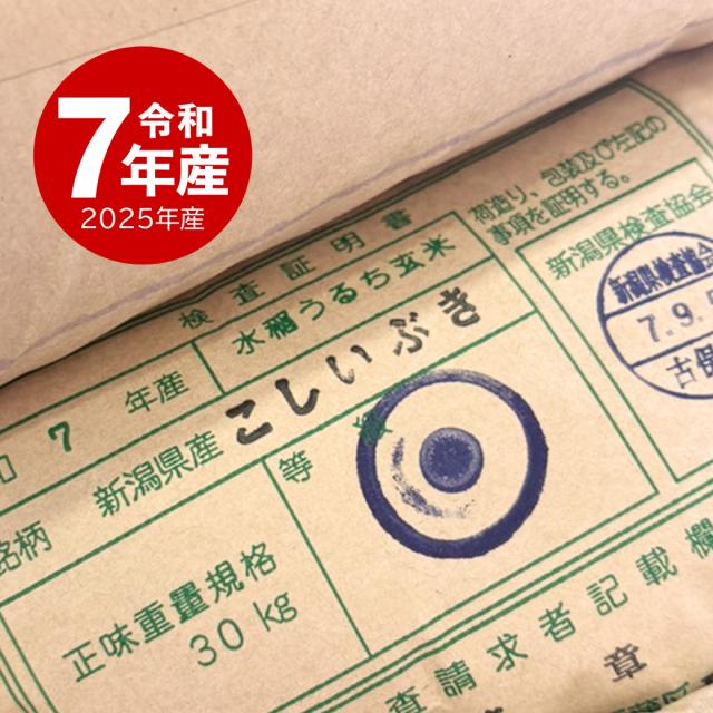 越後の稲穂屋 米 20kg 新潟産 こしいぶき 令和7年産 お米 20キロ 沖縄別途送料_14
