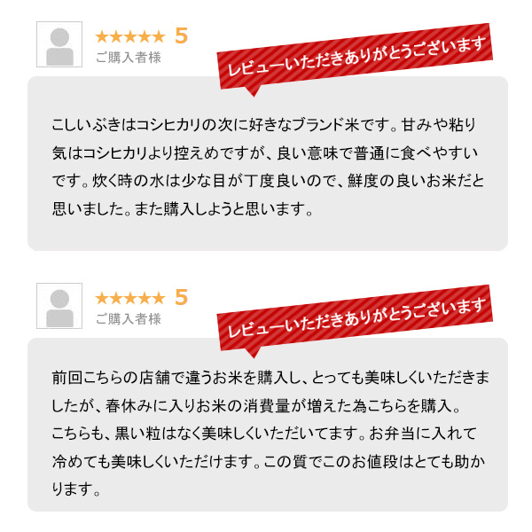 越後の稲穂屋 米 20kg 新潟産 こしいぶき 令和7年産 お米 20キロ 沖縄別途送料_6