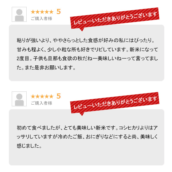 越後の稲穂屋 米 20kg 新潟産 こしいぶき 令和7年産 お米 20キロ 沖縄別途送料_7