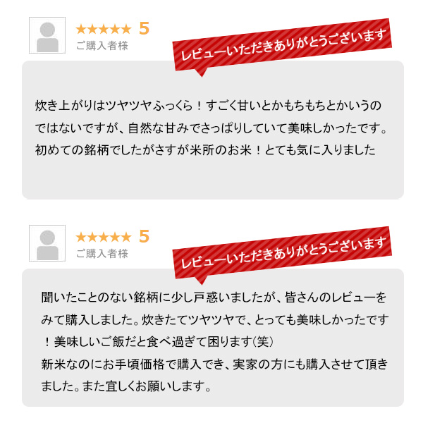 越後の稲穂屋 米 20kg 新潟産 こしいぶき 令和7年産 お米 20キロ 沖縄別途送料_8
