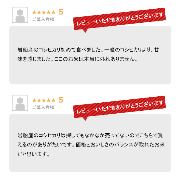越後の稲穂屋 米 20kg 岩船産コシヒカリ お米 20キロ 令和7年産 沖縄別途送料_5
