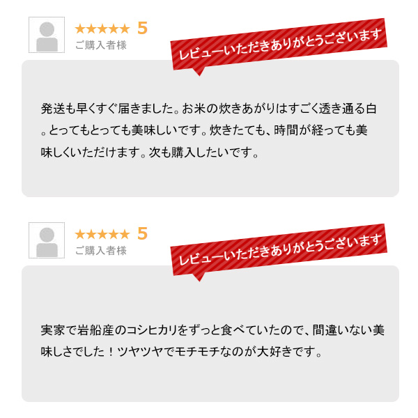 越後の稲穂屋 米 20kg 岩船産コシヒカリ お米 20キロ 令和7年産 沖縄別途送料_6