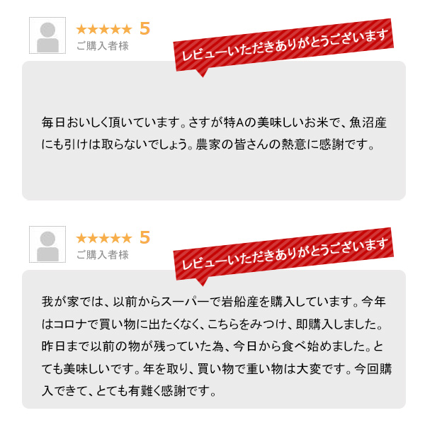 越後の稲穂屋 米 20kg 岩船産コシヒカリ お米 20キロ 令和7年産 沖縄別途送料_7