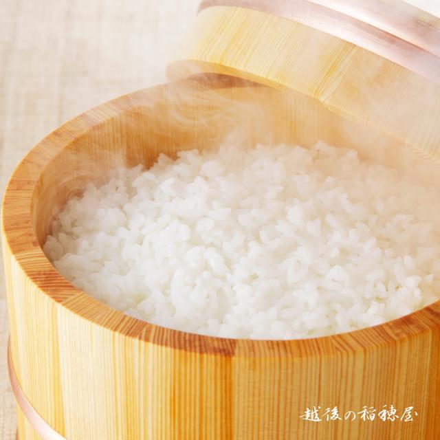 越後の稲穂屋 米 20kg 新潟産 ミルキークイーン お米 20キロ 令和7年産 沖縄別途送料_3