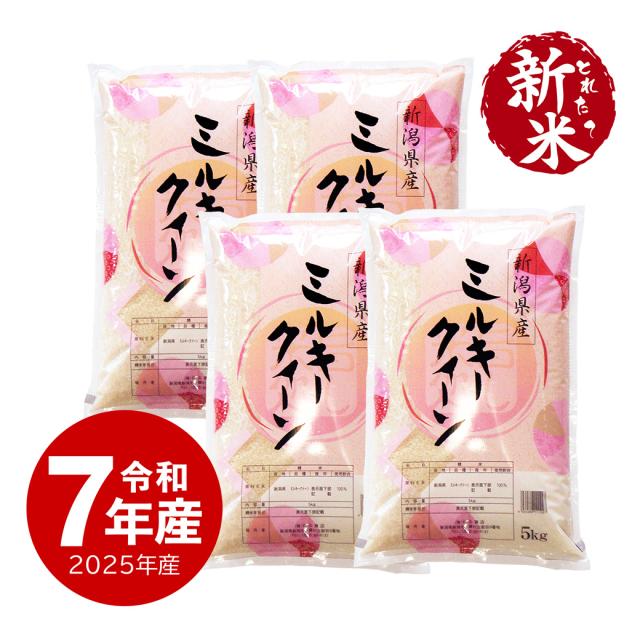 11/24までsale♡staub♡ 山口一郎 原画額装込 一点物 絵