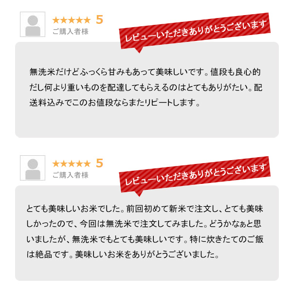 越後の稲穂屋 米 10kg 無洗米 新潟産コシヒカリ お米 10キロ 令和7年産 沖縄別途送料_7