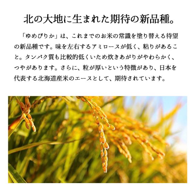 越後の稲穂屋 米 20kg 北海道産 ゆめぴりか お米 20キロ 令和7年産 沖縄別途送料_1