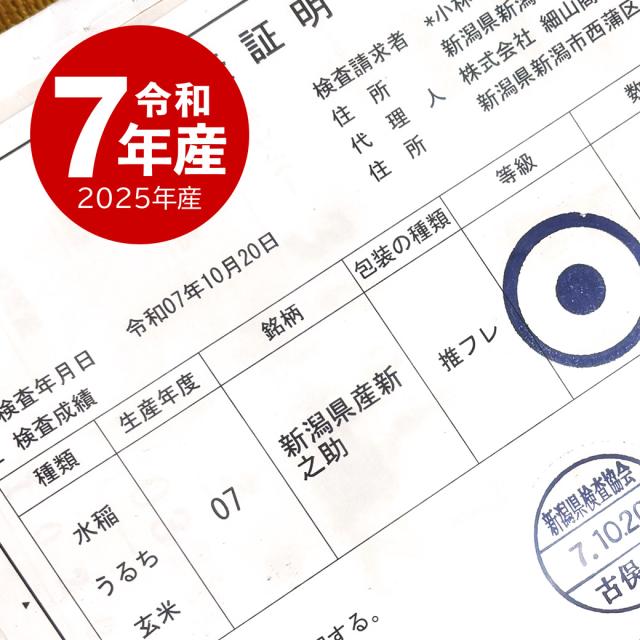 越後の稲穂屋 米 15kg 新之助 令和7年産 お米 15キロ 新潟産 しんのすけ 一等米 産直 精米 白米 沖縄別途送料_15