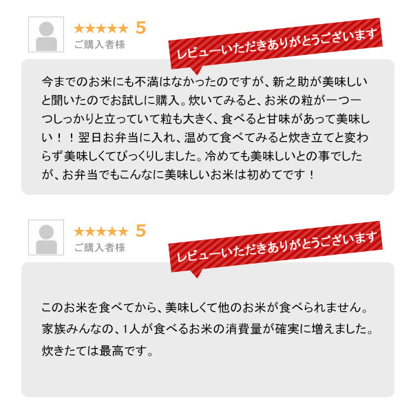 越後の稲穂屋 米 15kg 新之助 令和7年産 お米 15キロ 新潟産 しんのすけ 一等米 産直 精米 白米 沖縄別途送料_6