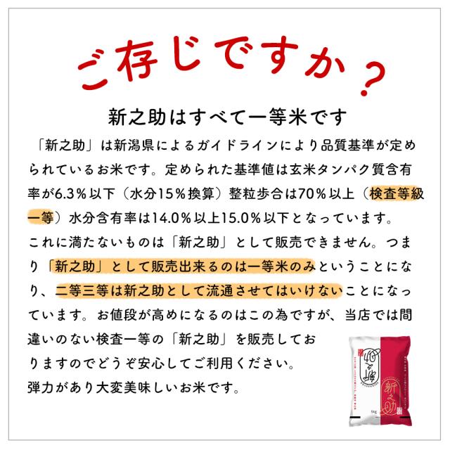 越後の稲穂屋 米 15kg 新之助 令和7年産 お米 15キロ 新潟産 しんのすけ 一等米 産直 精米 白米 沖縄別途送料_1