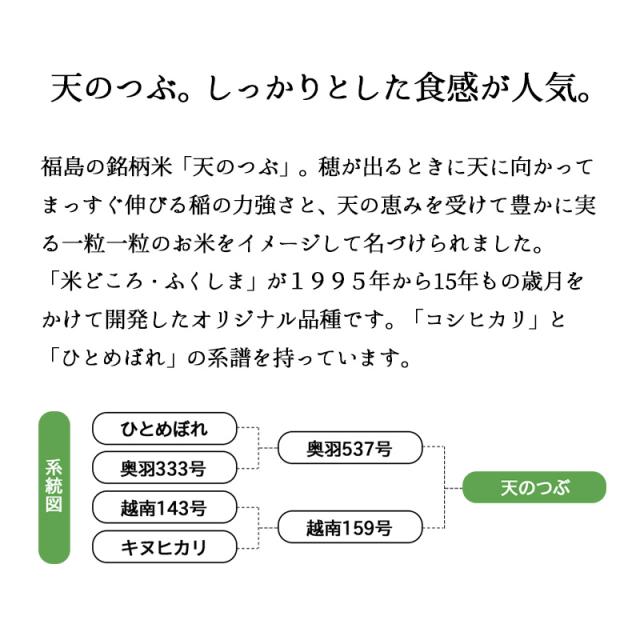 越後の稲穂屋 米 15kg 天のつぶ お米 15キロ 令和7年産 沖縄別途送料