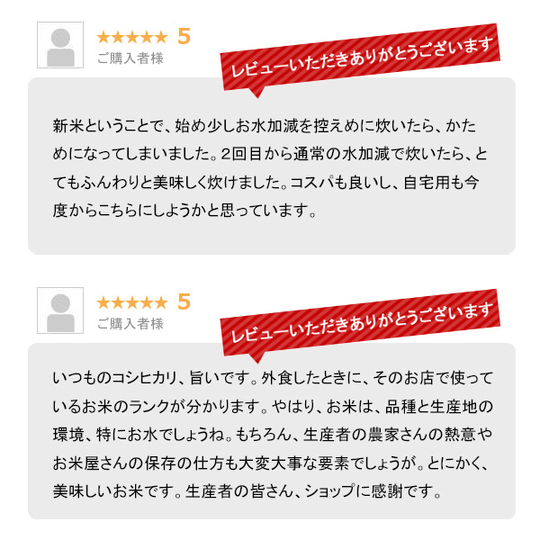米 20kg 新潟産コシヒカリ 令和6年産 お米 産直 精米 白米 5kgx4袋 ※沖縄への配送は別途送料の通販は