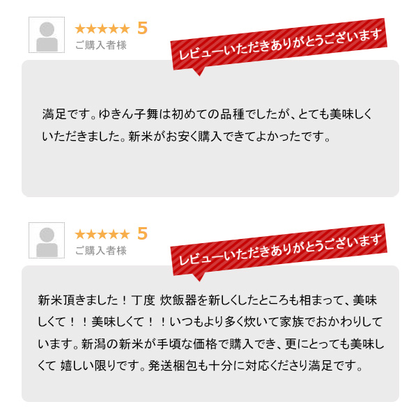 越後の稲穂屋 米 20kg 新潟産 ゆきん子舞 お米 20キロ 令和7年産 沖縄別途送料_3