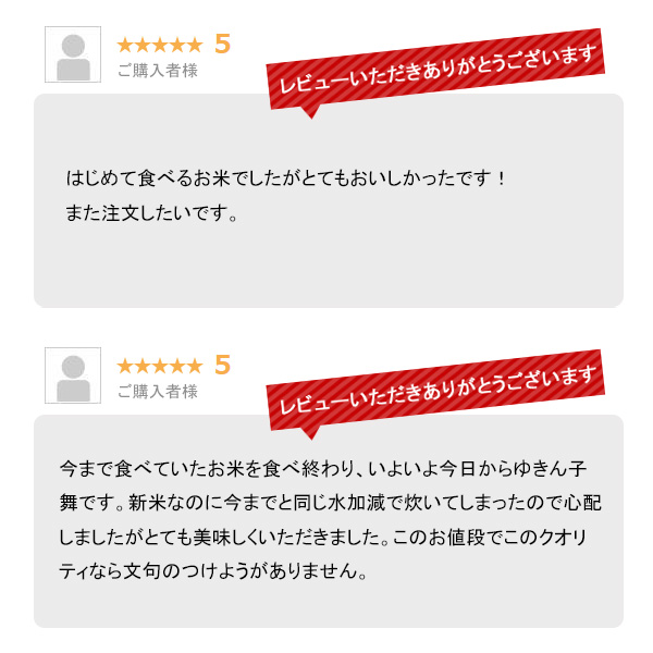 越後の稲穂屋 米 20kg 新潟産 ゆきん子舞 お米 20キロ 令和7年産 沖縄別途送料_4