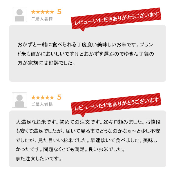 越後の稲穂屋 米 20kg 新潟産 ゆきん子舞 お米 20キロ 令和7年産 沖縄別途送料_5