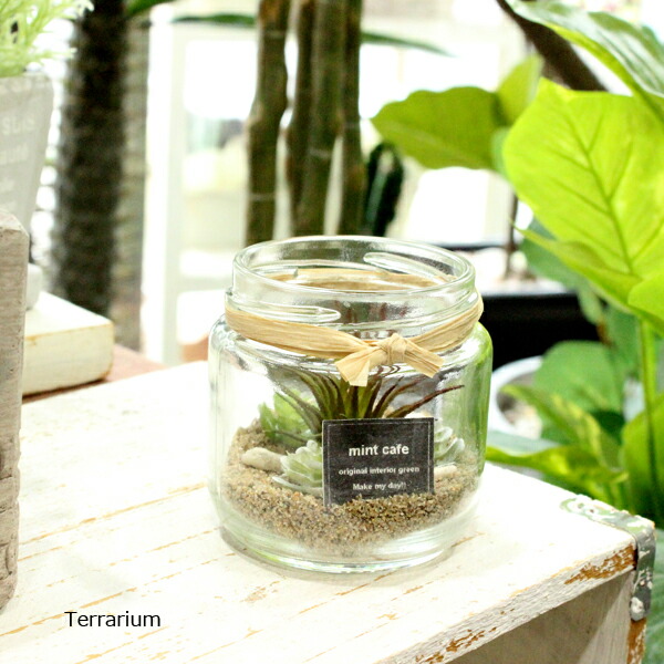 テラリウム エアプランツ Miniボトル Terrarium 観葉植物 多肉植物 フェイクグリーン 造花 インテリアの通販はau Pay マーケット フェイクグリーンのお店 みんとかふぇ