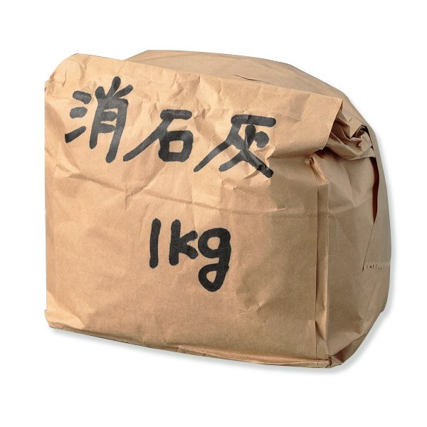 消石灰 1kg 版画 腐蝕液 石灰 園芸 の通販はau Pay マーケット 画材ものづくりアートロコ